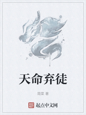 天命小说完整版